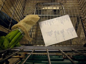"Shopping List" by Bruce Turner