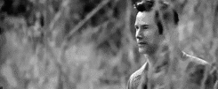 GIF from The Lake House via Giphy
