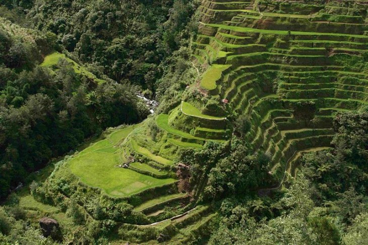 Photo by Agricmarketing via Wikimedia Commons.