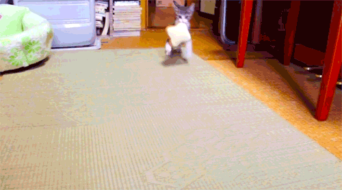 5 Annoying Office Mates in Every Company and How to Deal with Them