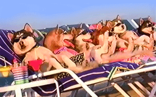 8 Tips for Your First Couple's Vacation