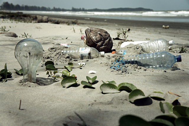 "Water Pollution with Trash Disposal of Waste at the Garbage Beach" by Epsos