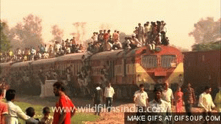 GIF via giphy