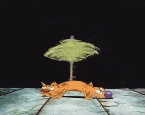 GIF from CatDog via Giphy