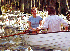 GIF from The Notebook via Giphy