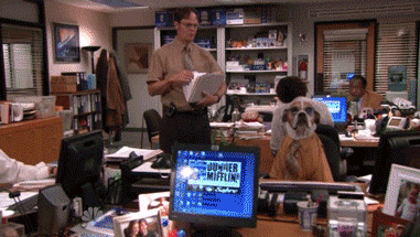 Yes, even if your audience is a dog. (Image from The Office courtesy of Giphy)