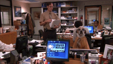 Yes, even if your audience is a dog. (Image from The Office courtesy of Giphy)