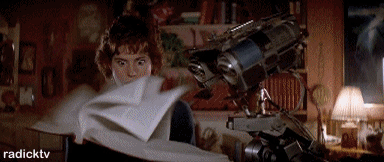 GIF via Giphy