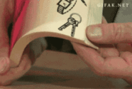 GIF via Giphy