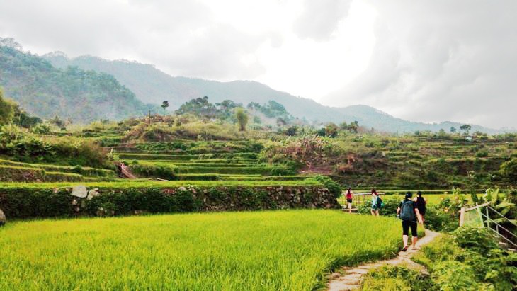 The view of Sagada's own rice terraces is part of what one will see on the hike to Pongas Falls. Photo by Melissa G. Bagamasbad