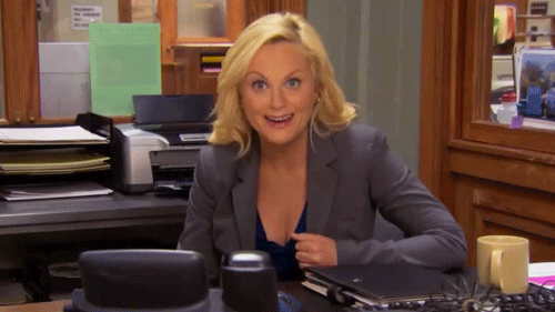 GIF from Parks and Recreation, via Giphy.