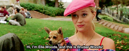 GIF from Legally Blonde via Tumblr