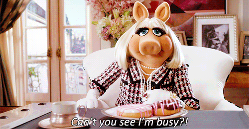 GIF from The Muppets via Giphy