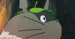 GIF via GIPHY