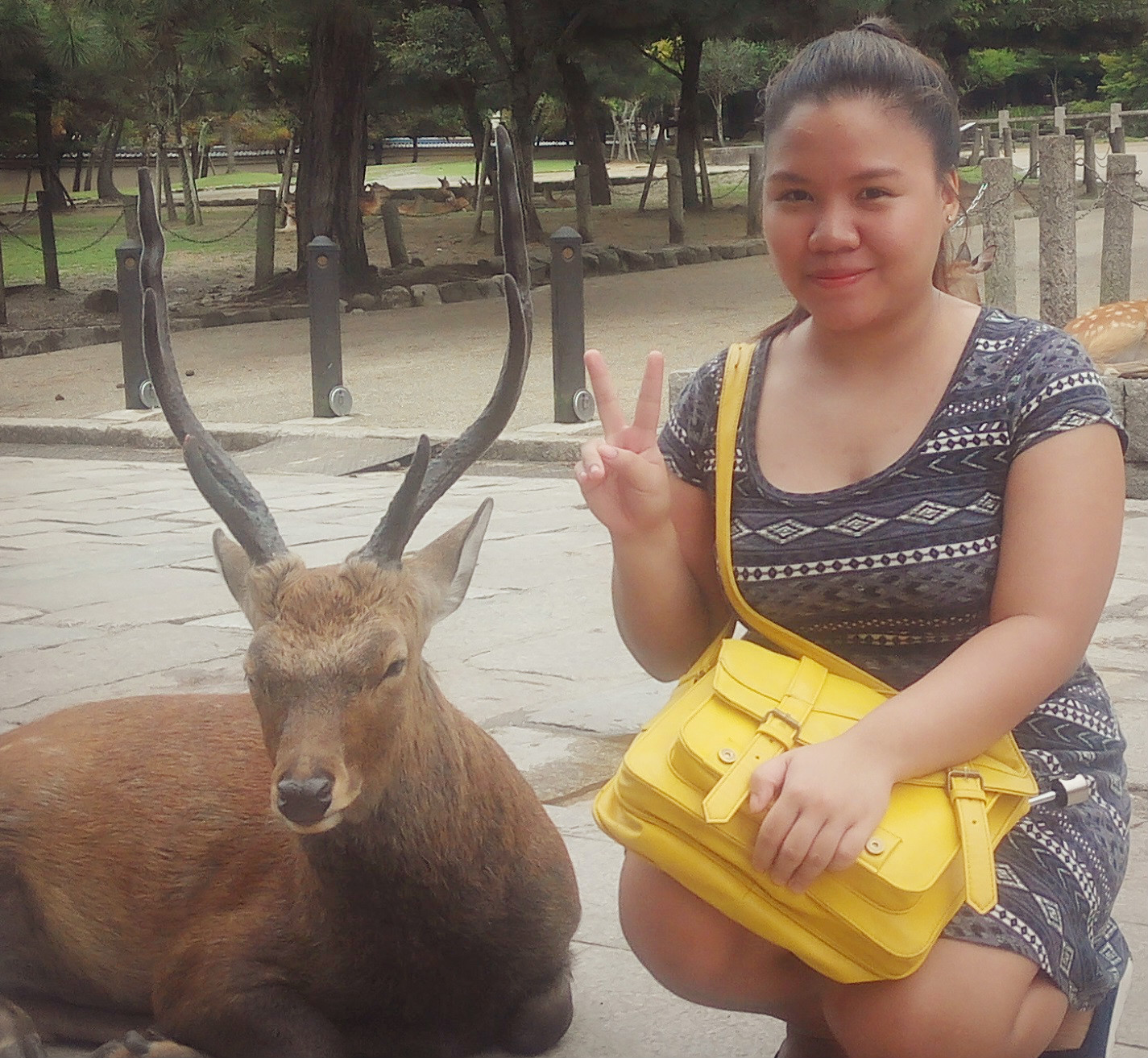 The author with a sleepy deer in Nara, Japan