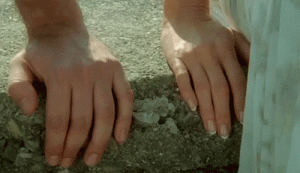 GIF via Giphy