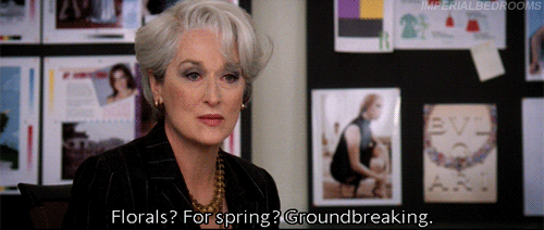 GIF from The Devil Wears Prada via Giphy