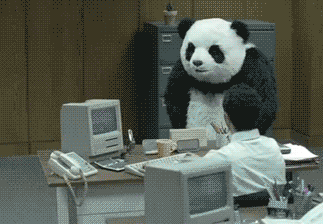 GIF via Giphy