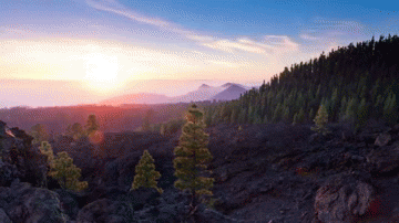 GIF via Giphy