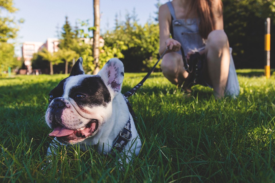 Woman With Bulldog