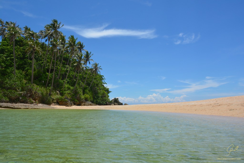 Beach Shoreline