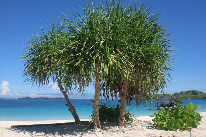 Pristine Beach Sand