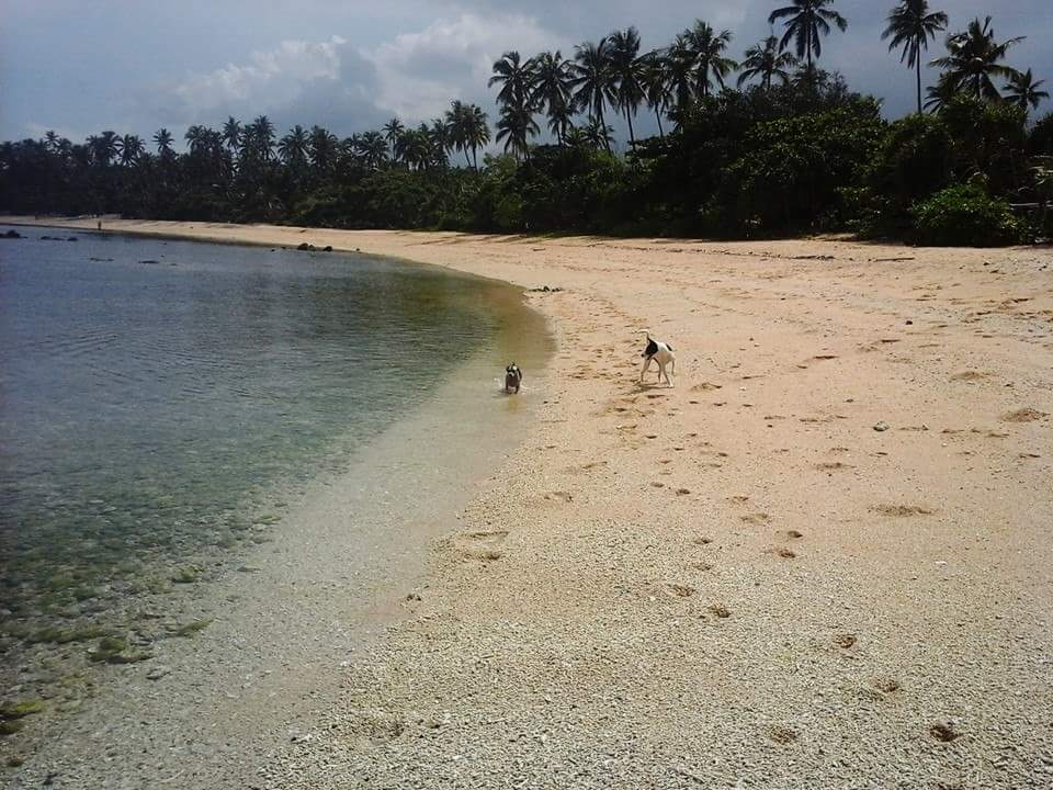 Beach Shoreline