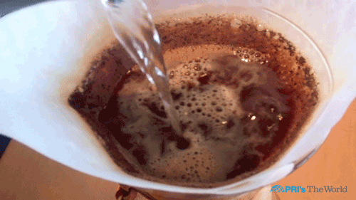 Water Being Poured in Coffee Filter