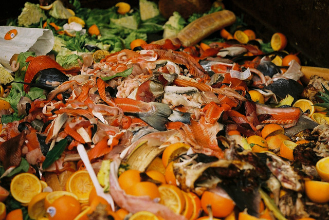 Dried Fruit Peels