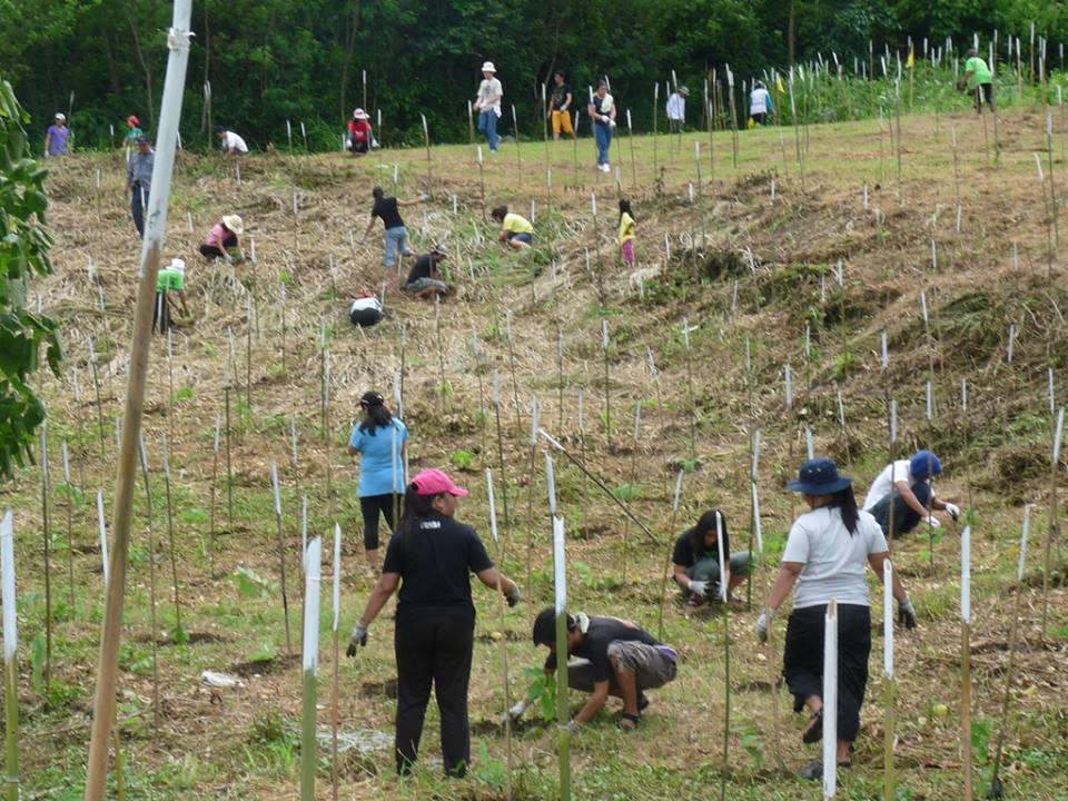 Volunteers Planting Trees