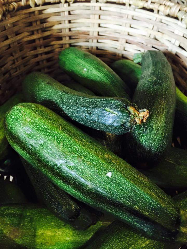 Organic Zucchini