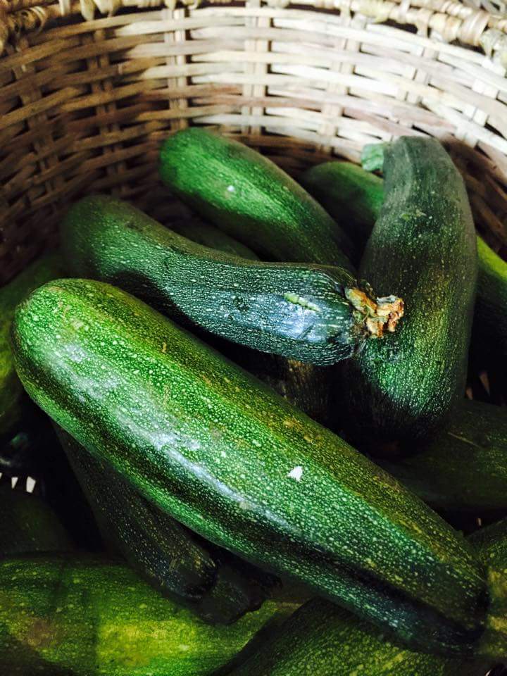 Organic Zucchini 