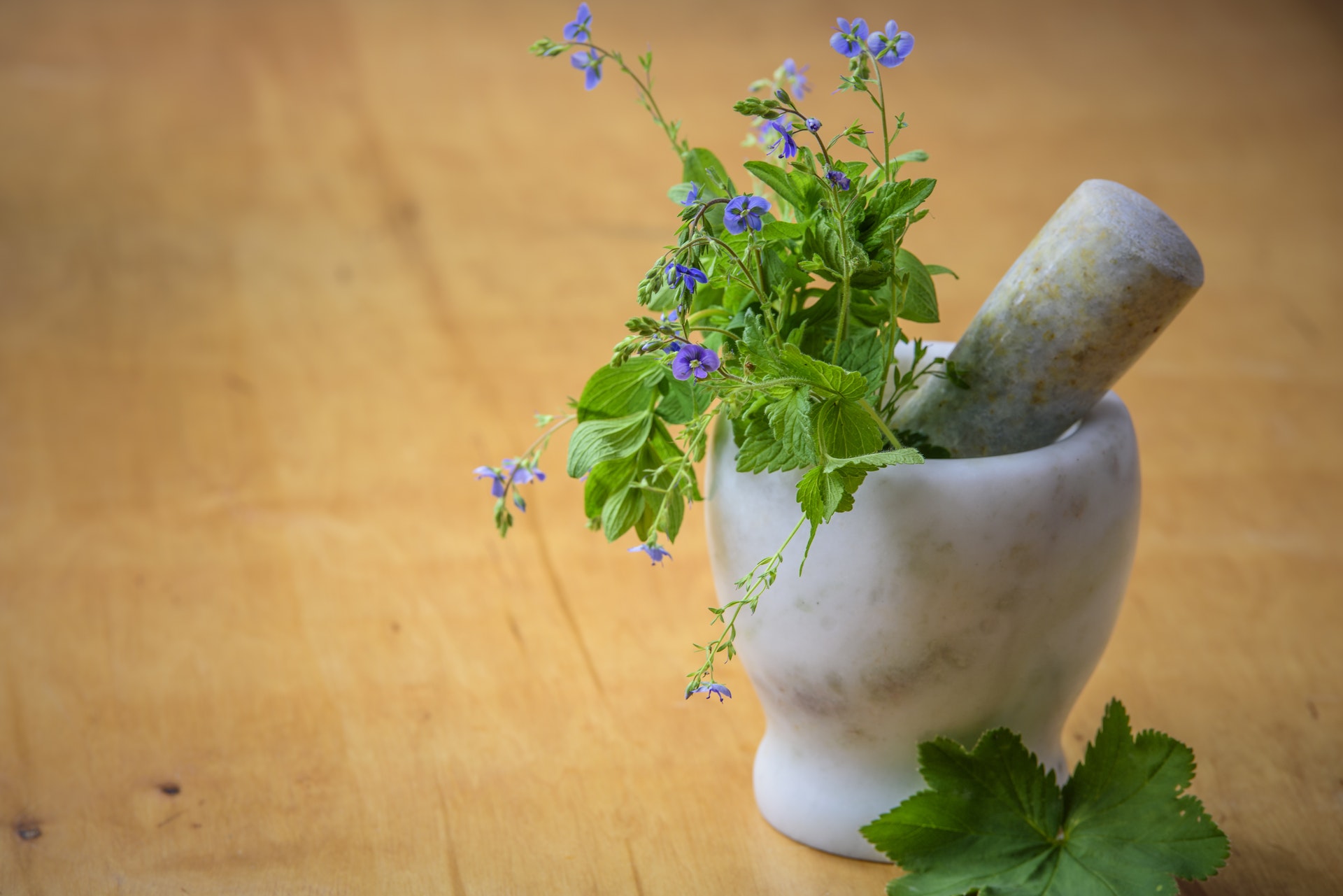 Mortar And Pestle