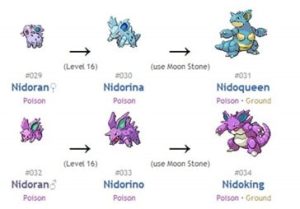 Pokemon Evolution