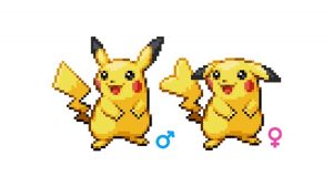 Male and Female Pikachu