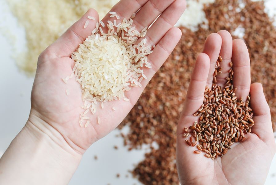 Other rice substitutes in the philippines modernfilipina