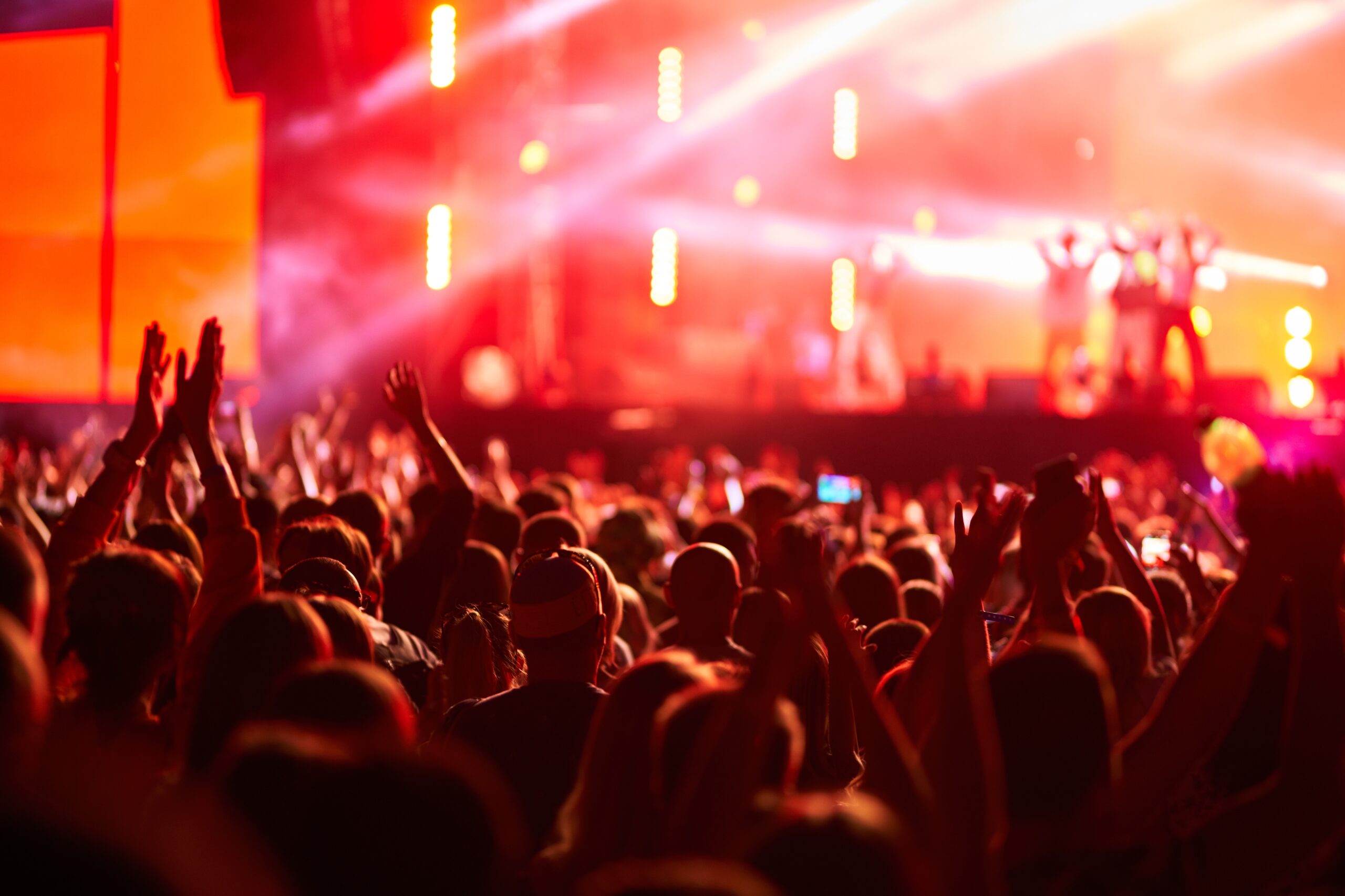 energetic audience of a concert