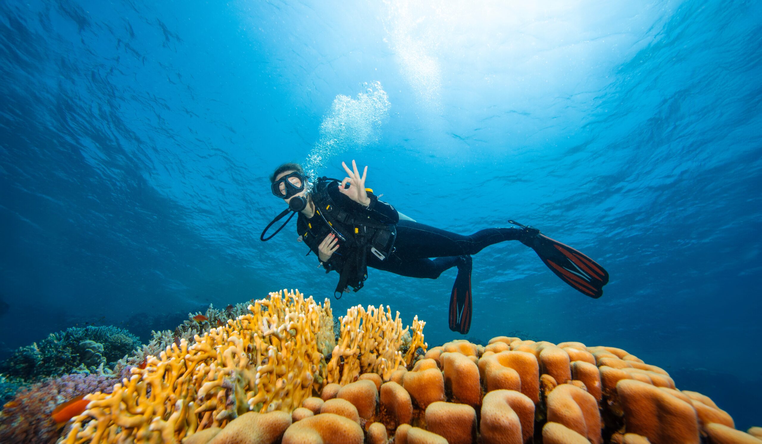 a young woman diving